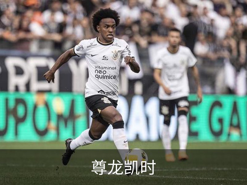 尊龙凯时介绍
